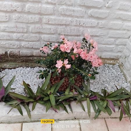 Pousada Sol Nascente Beberibe Ngoại thất bức ảnh